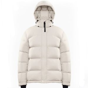 Aritzia SuperPuff Down Coat in Matte Pearl, Size Small